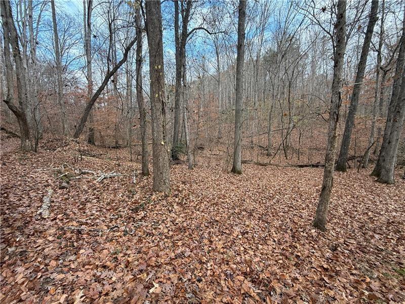 0 Falling Pines Road Dahlonega, GA 30533 - Photo 5 of 10