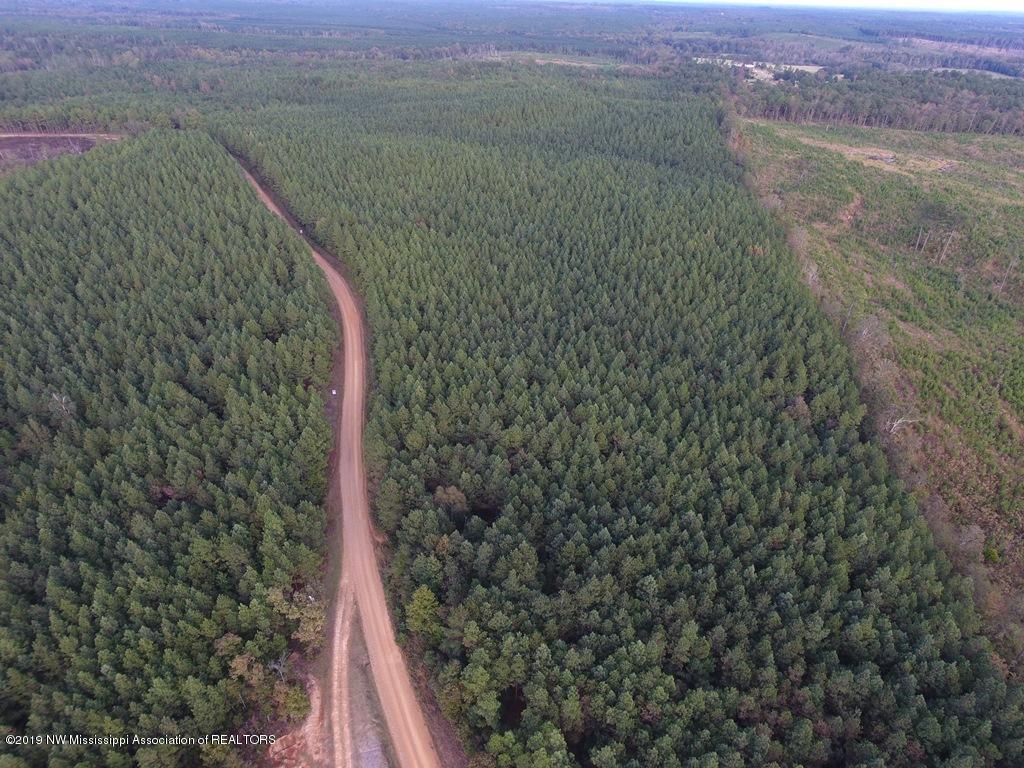 285 Will Eiland Loop Kilmichael, MS 39747 - Photo 5 of 5 DCIM\100MEDIA\DJI_0092.JPG