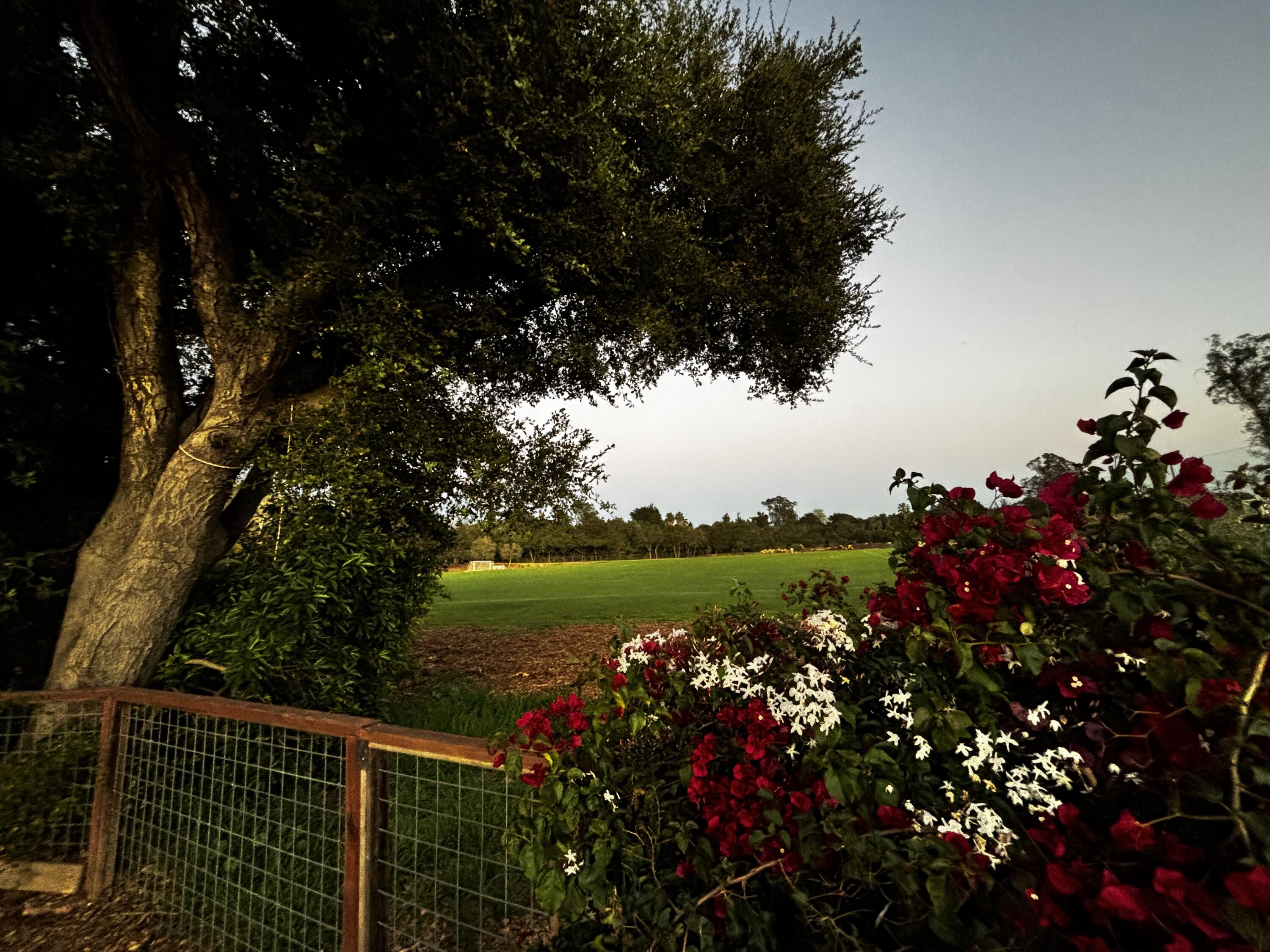 712 Chelham Way Montecito, CA 93108 - Photo 12 of 12 Backyard goes to Westmont field