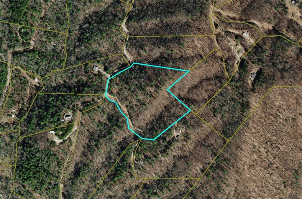 0 Reedy Branch Road Purlear, NC 28665 - Photo 2 of 18 Gallery Image 2