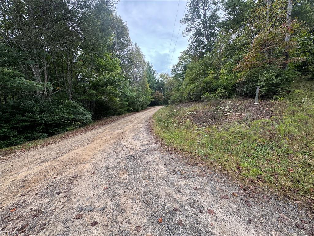 0 Reedy Branch Road Purlear, NC 28665 - Photo 3 of 18 Gallery Image 3