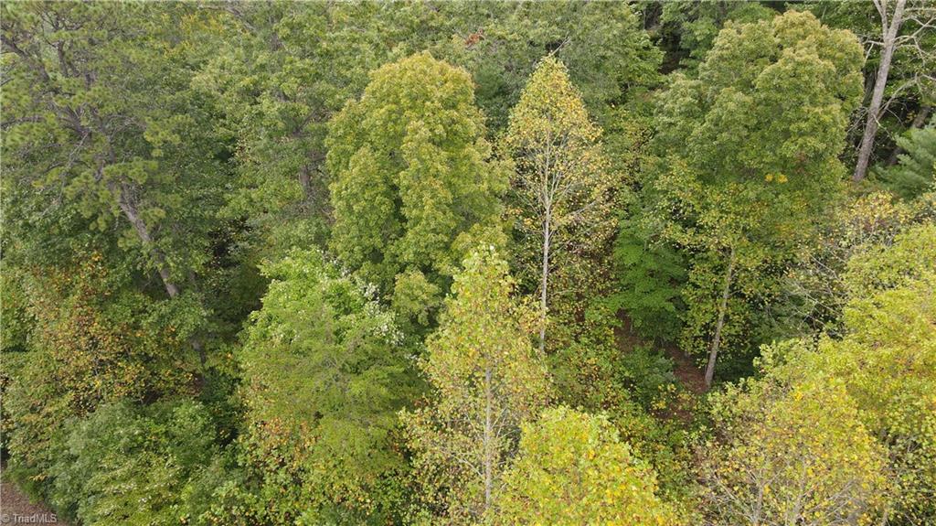 0 Reedy Branch Road Purlear, NC 28665 - Photo 4 of 18 Gallery Image 4