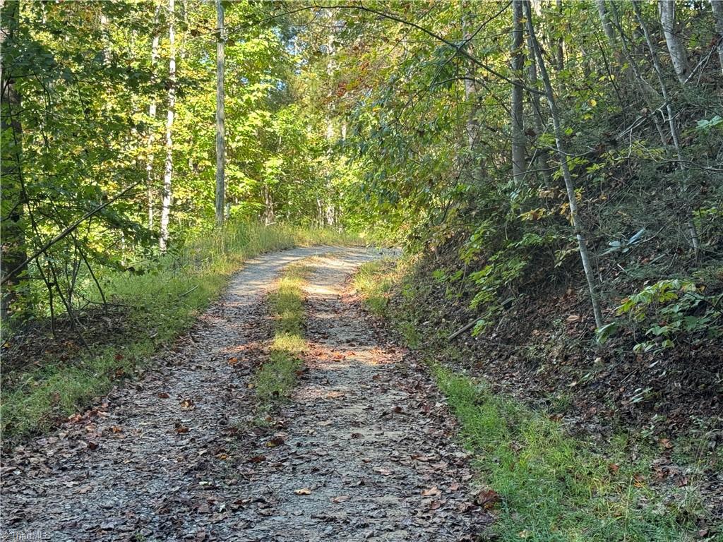 0 Reedy Branch Road Purlear, NC 28665 - Photo 8 of 18 Gallery Image 8