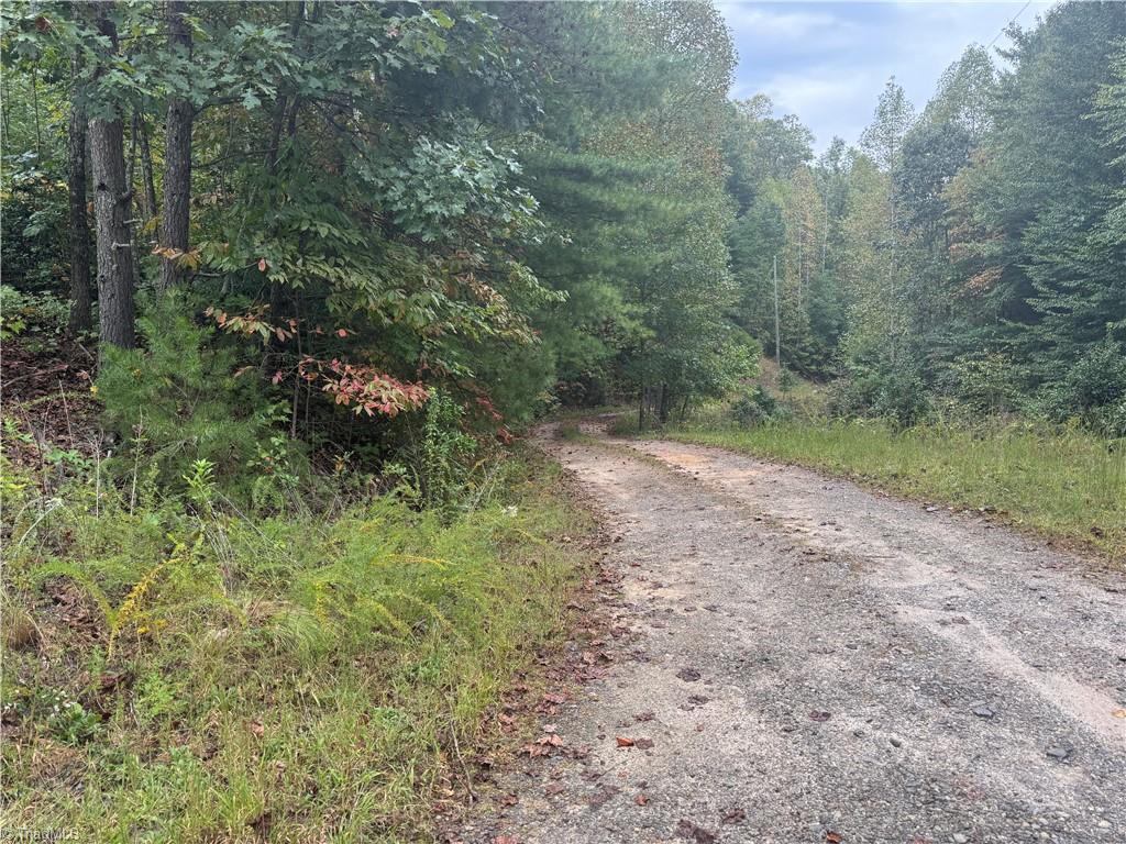 0 Reedy Branch Road Purlear, NC 28665 - Photo 10 of 18 Gallery Image 10