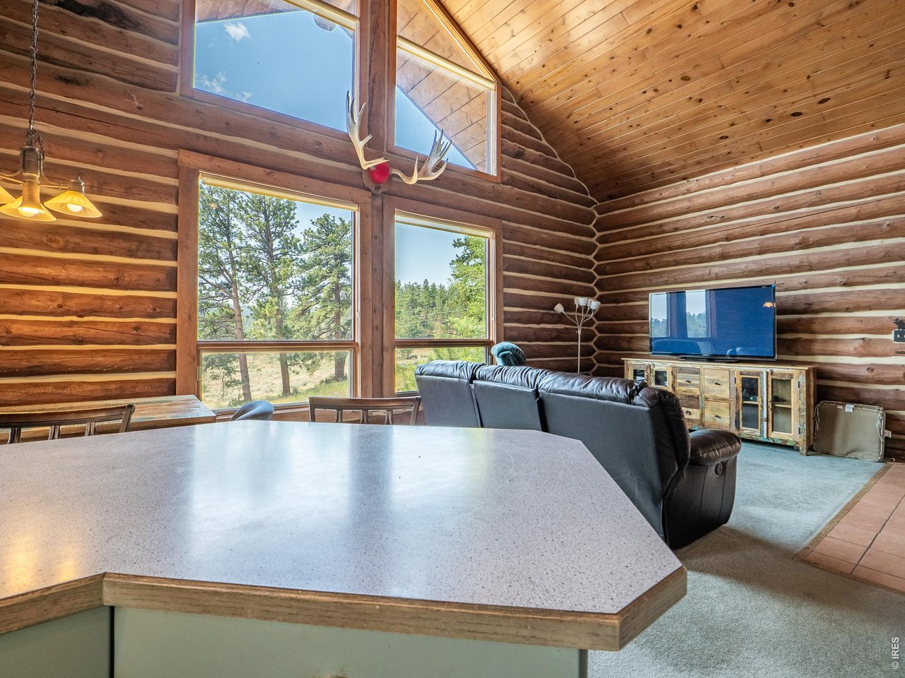 296 Caddo Road Red Feather Lakes, CO 80545 - Photo 11 of 50