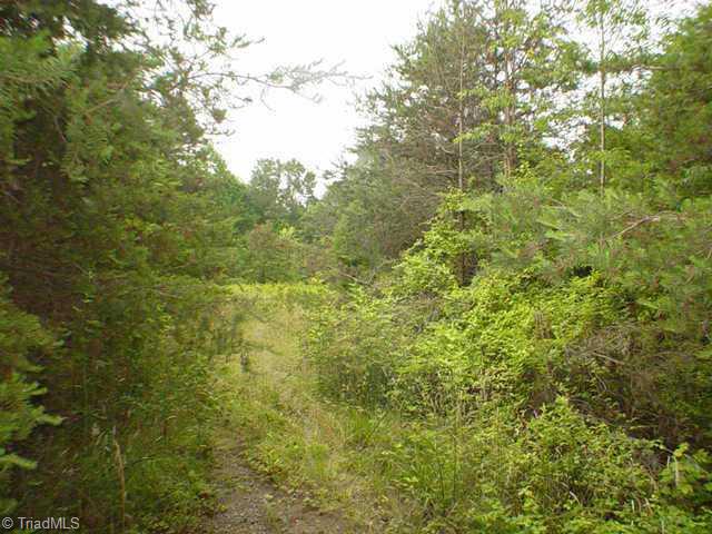 0 Stevens Acres Road Walnut Cove, NC 27052 - Photo 1 of 1 Exterior Front. Private, wooded...just waiting for your dream home!