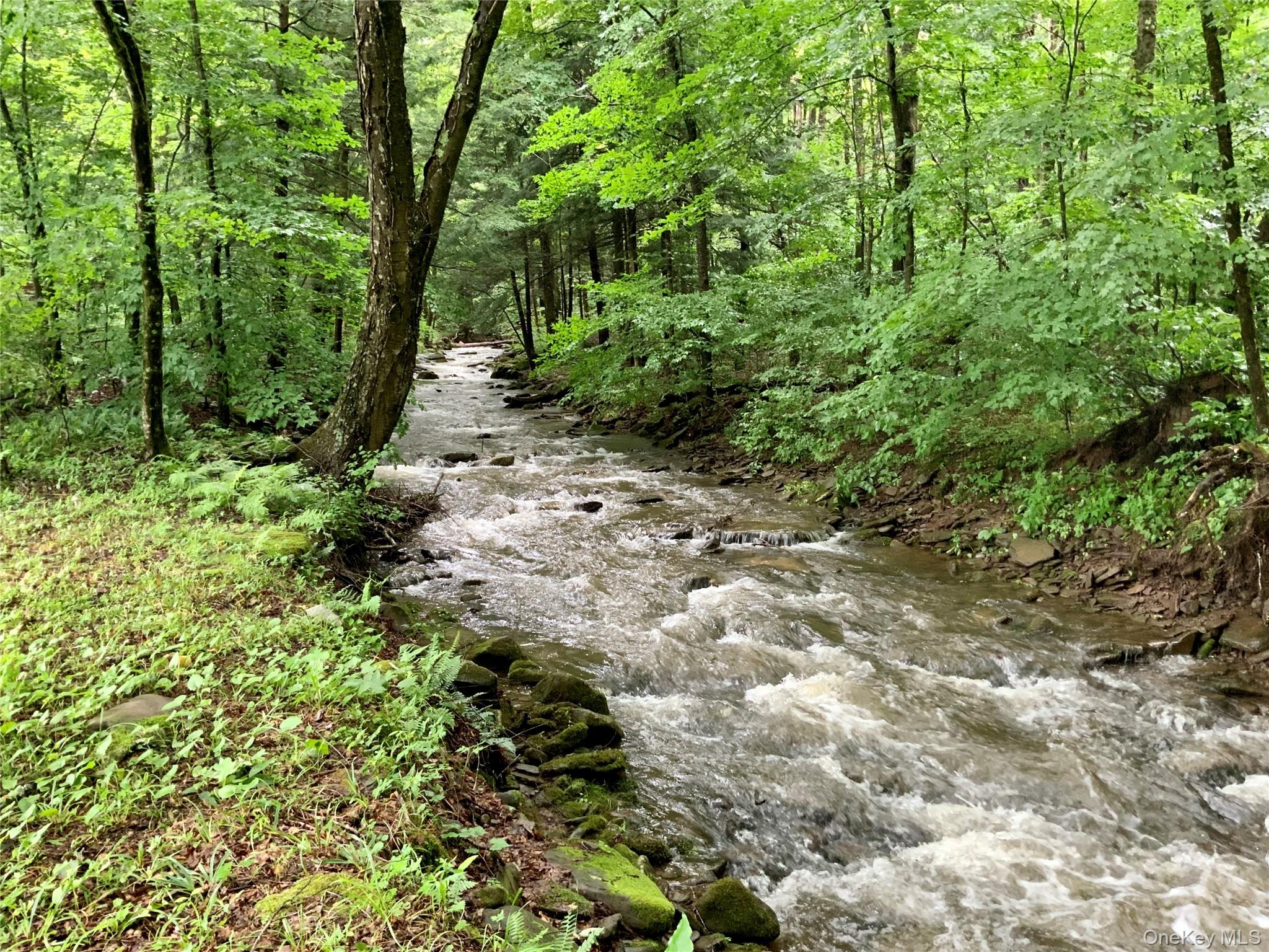 66 Milton Smith Road Long Eddy, NY 12760 - Photo 21 of 25 A beautiful, woodland creek meanders through the property, featuring clear flowing water, natural stone banks, and a peaceful forest setting. The stream provides a picturesque backdrop and a serene place to relax, explore, or simply enjoy the sounds of nature.