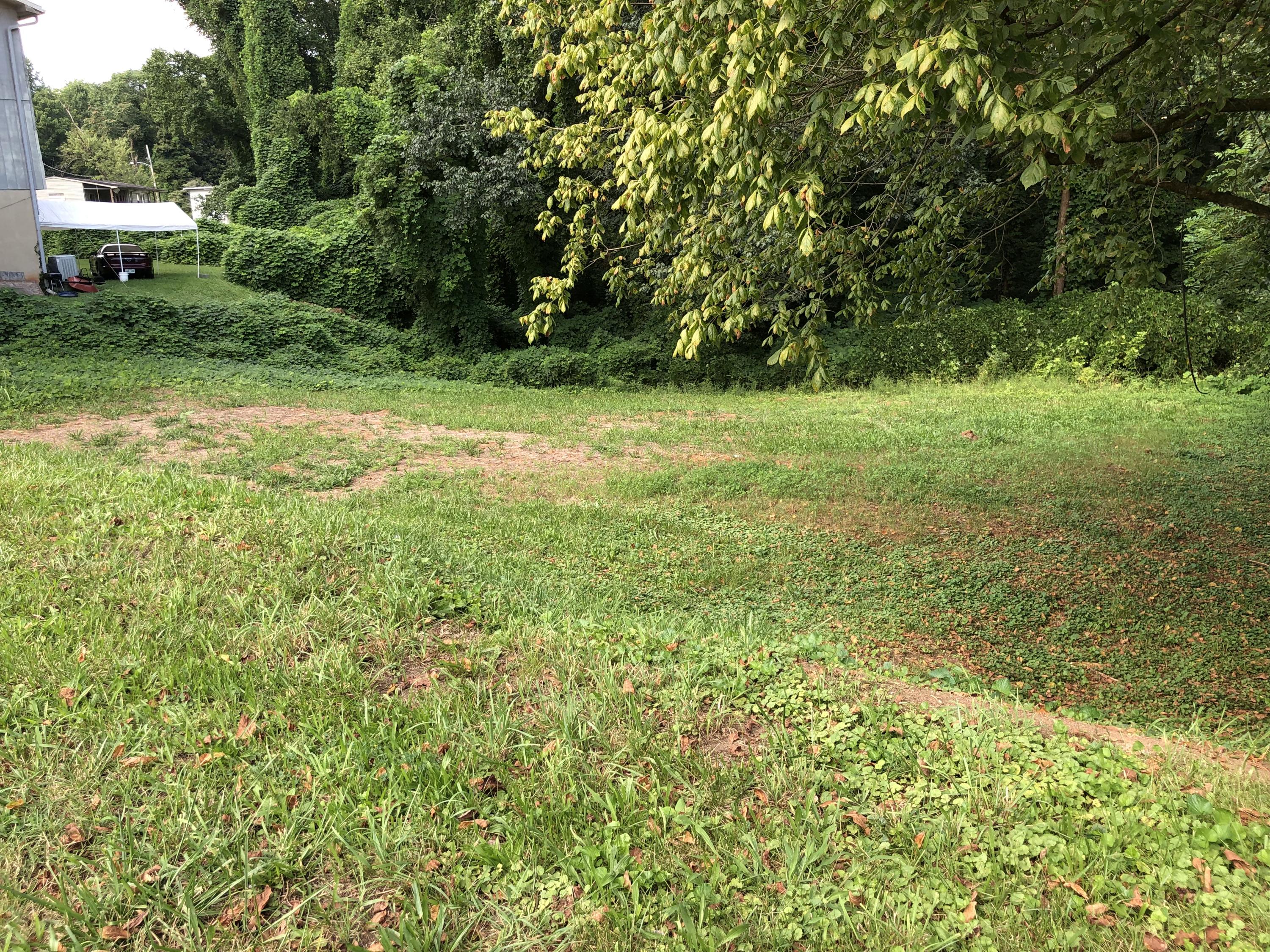 252 Highland Avenue Oak Ridge, TN 37830 - Photo 1 of 7 252 Highland Avenue