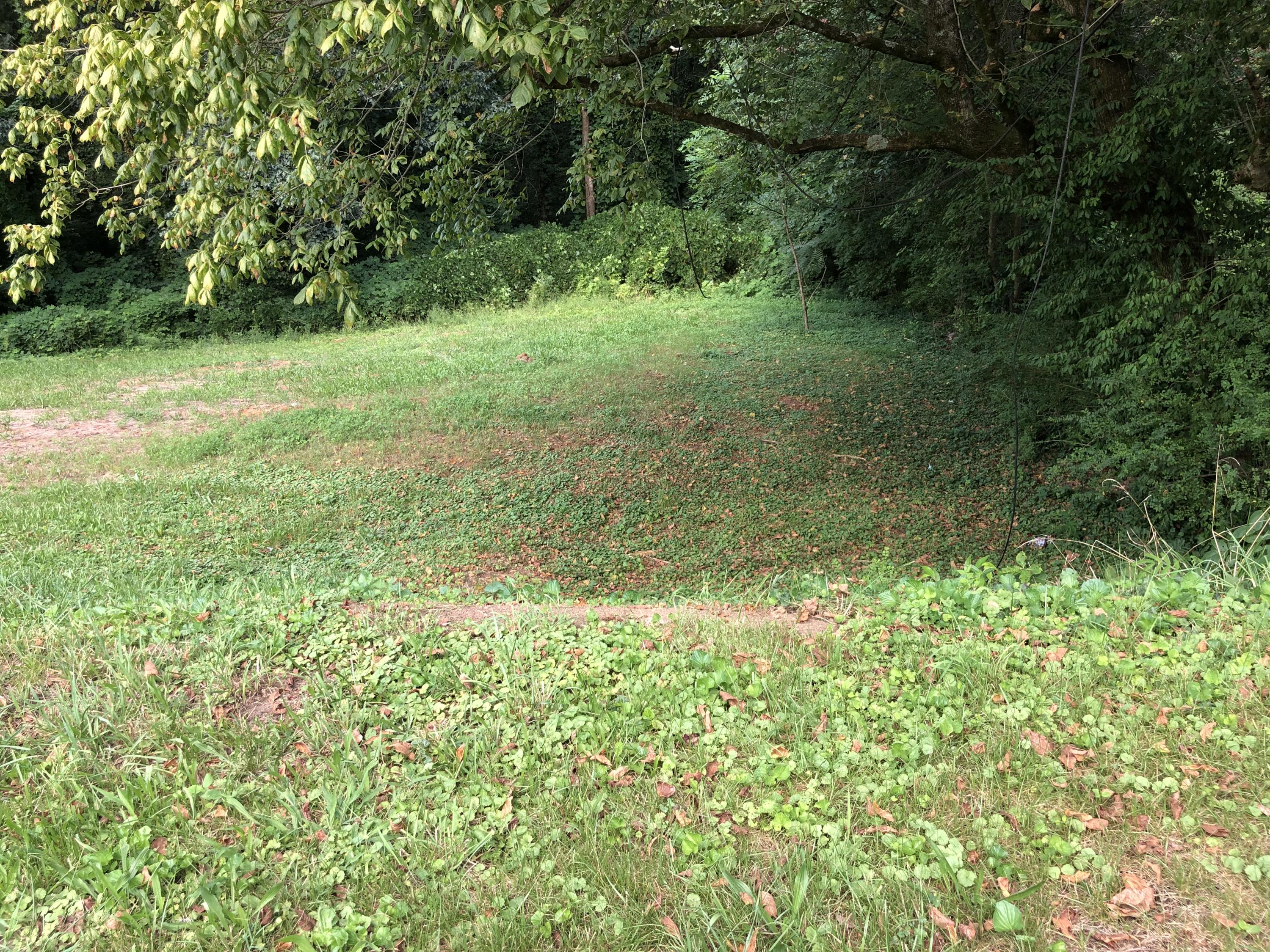 252 Highland Avenue Oak Ridge, TN 37830 - Photo 2 of 7 Highland Ave 252