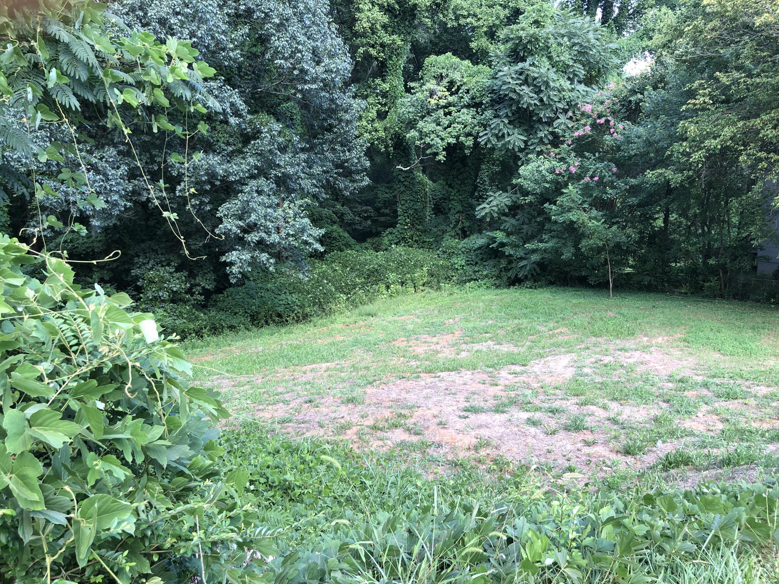 252 Highland Avenue Oak Ridge, TN 37830 - Photo 4 of 7 252 Highland Ave