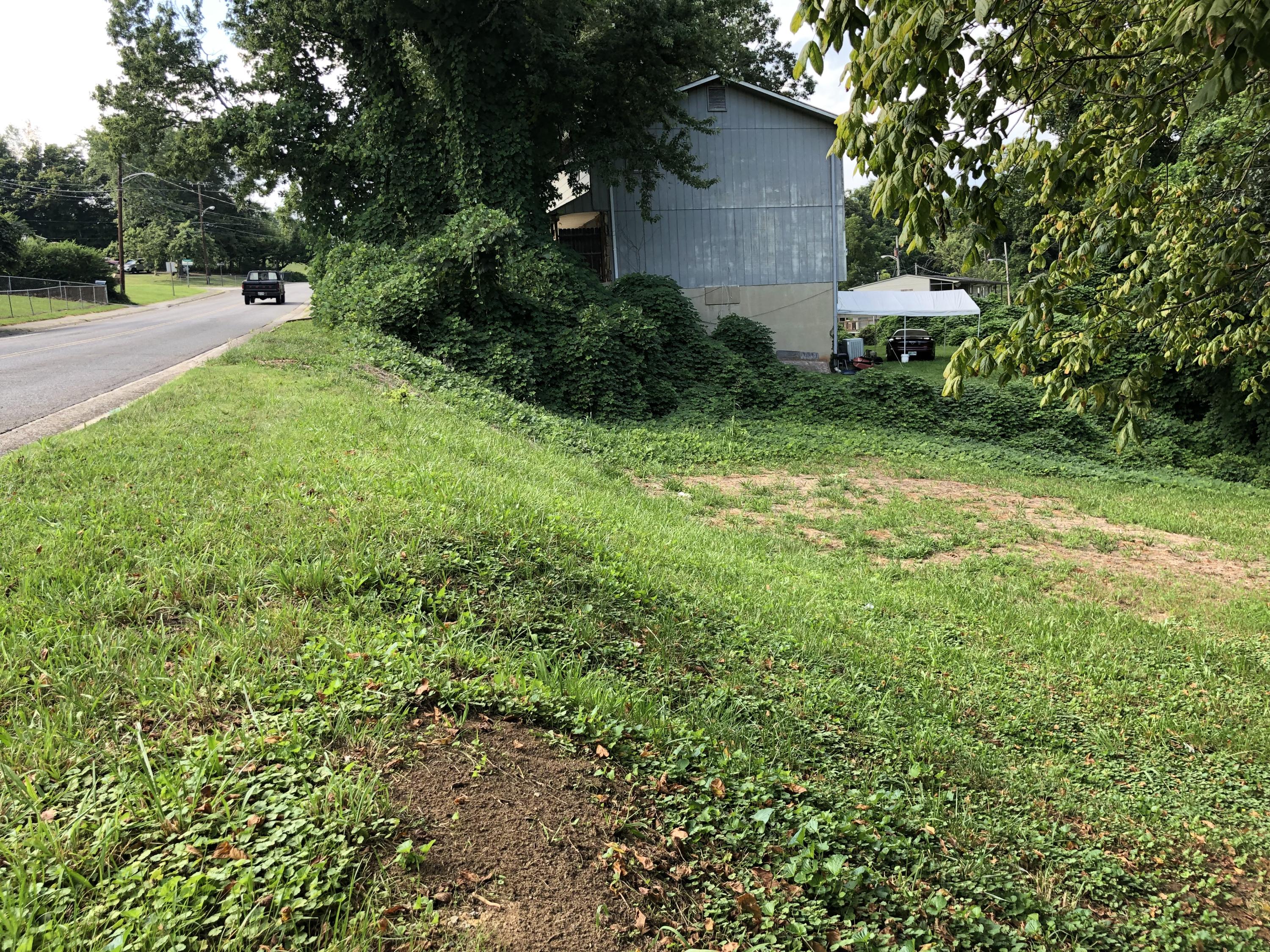 252 Highland Avenue Oak Ridge, TN 37830 - Photo 5 of 7 Road-Bank 252 Highland Ave