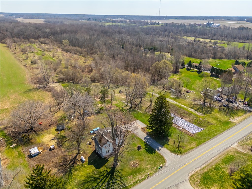 3859 Gaines Basin Road Albion, NY 14411 - Photo 40 of 50