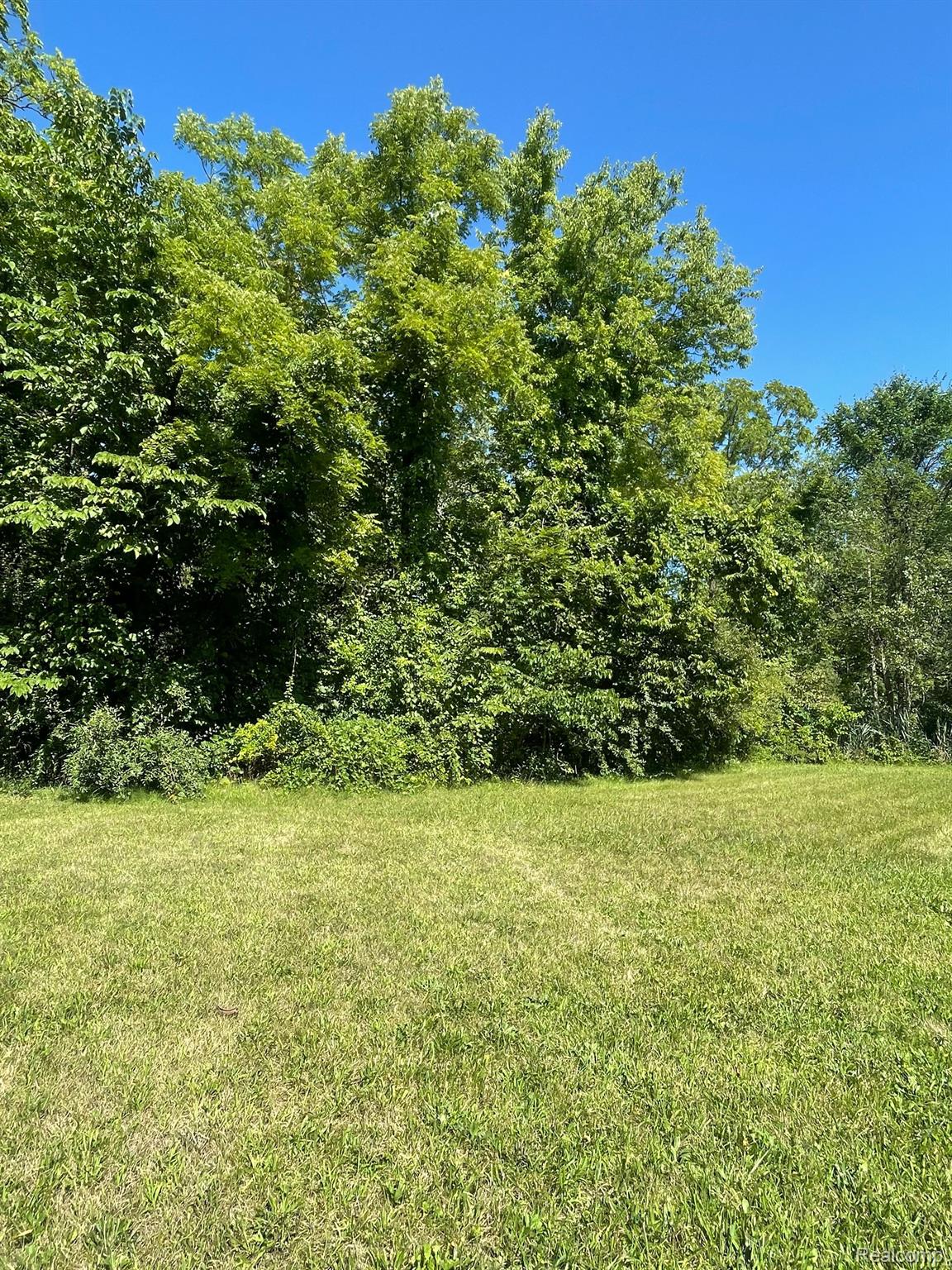 0 Pennsylvania Road Detroit, MI 48242 - Photo 5 of 5 Gallery Image 5