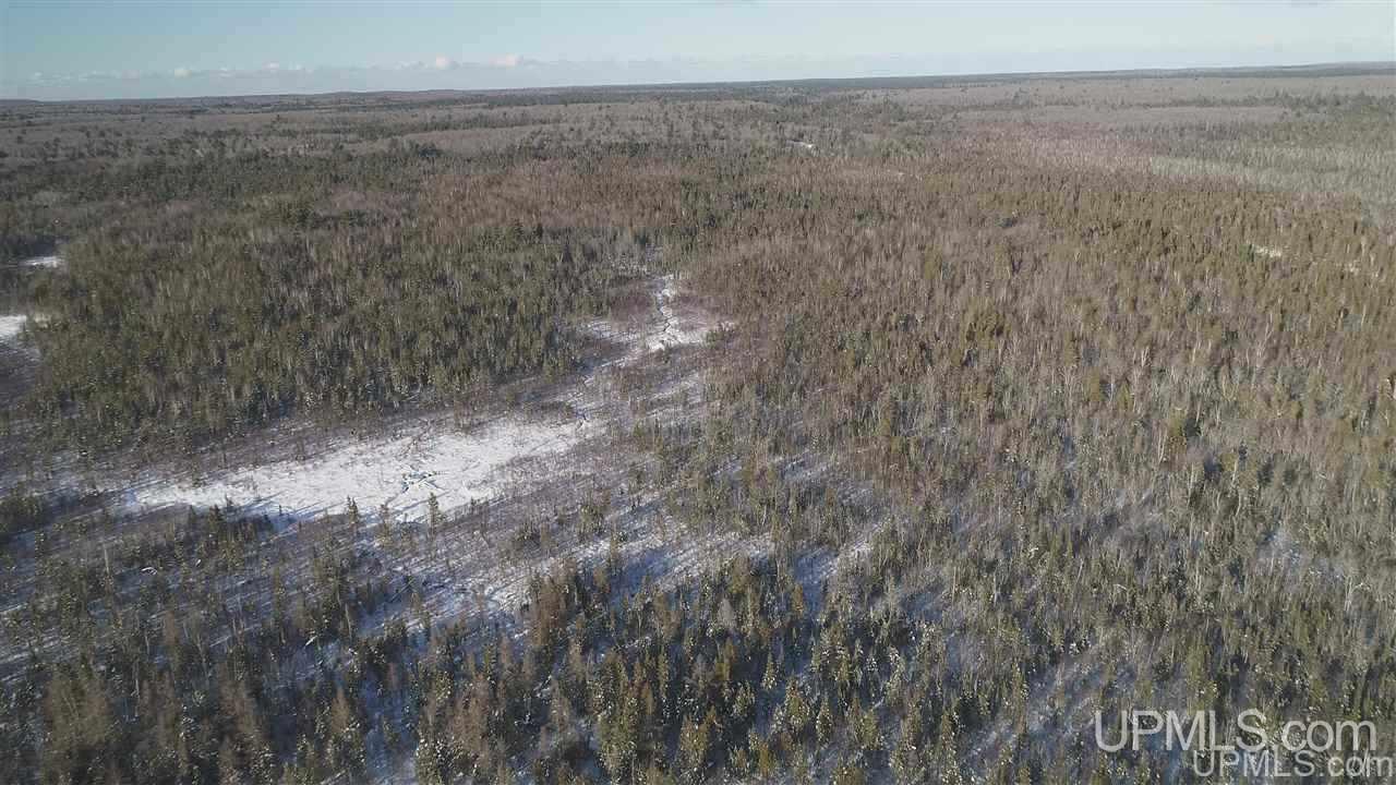80-acres Co Rd N415 McMillan, MI 49853 - Photo 30 of 36
