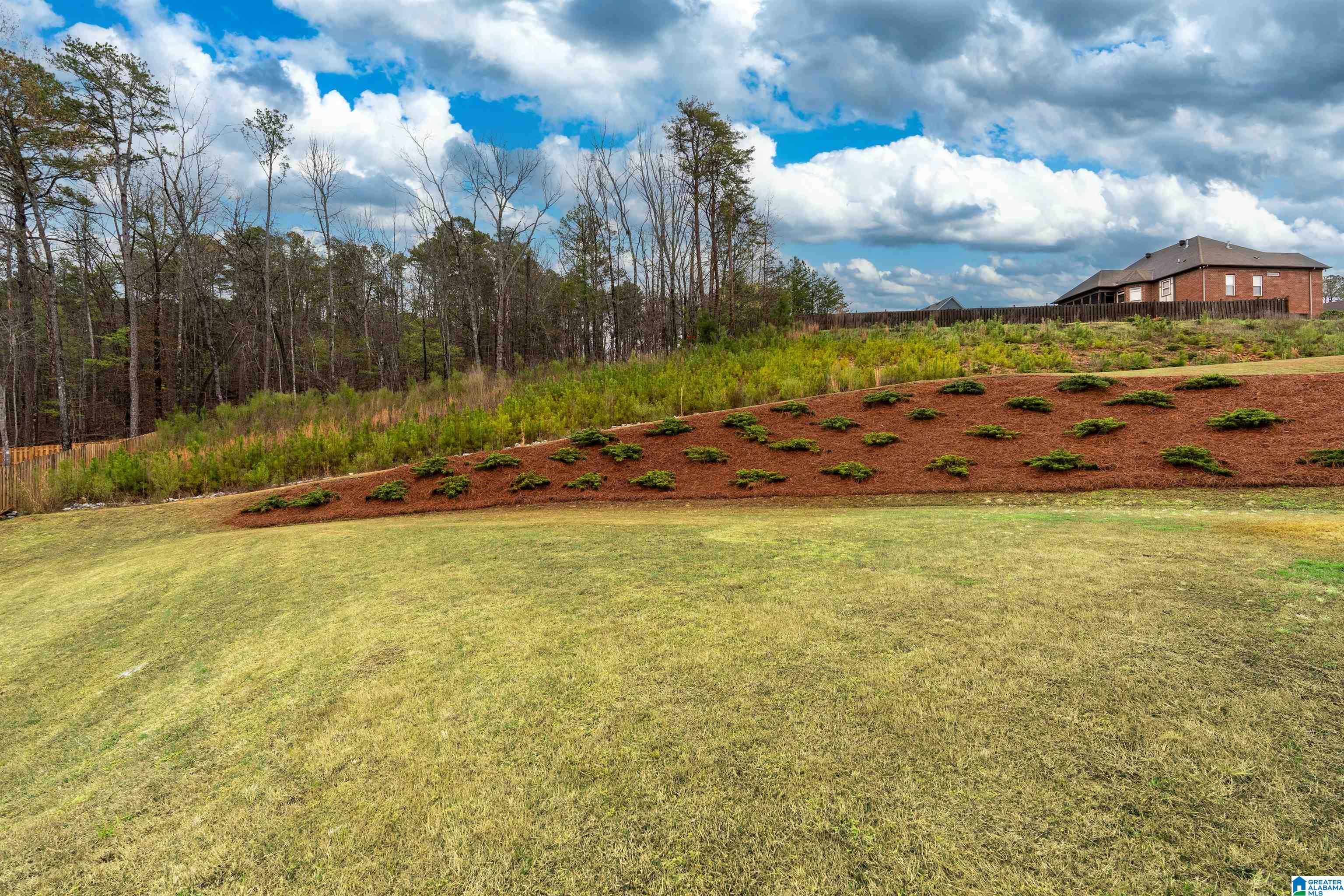 1063 Timberline Ridge Calera, AL 35040 - Photo 39 of 44