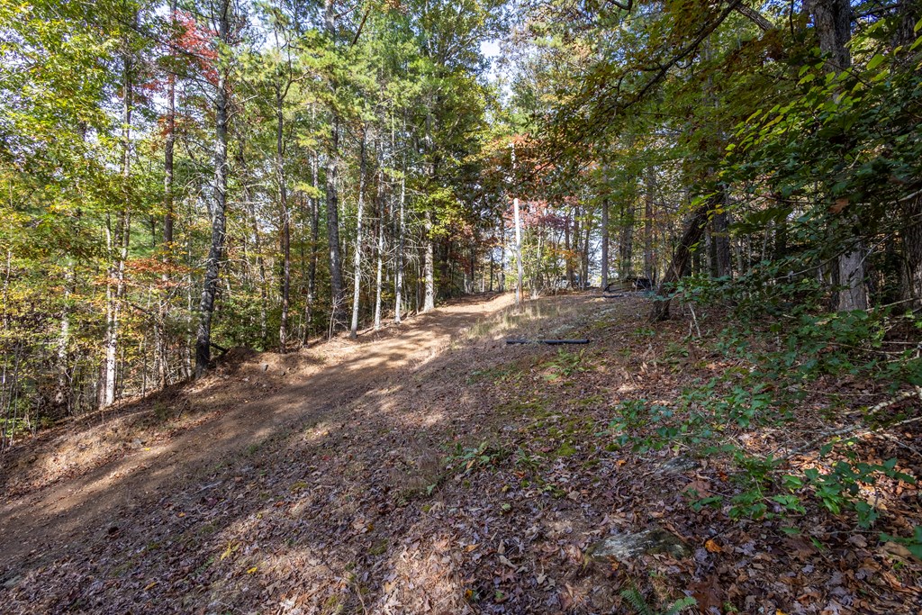 300 Springbrook Lane Murphy, NC 28906 - Photo 22 of 39 Gallery Image 22