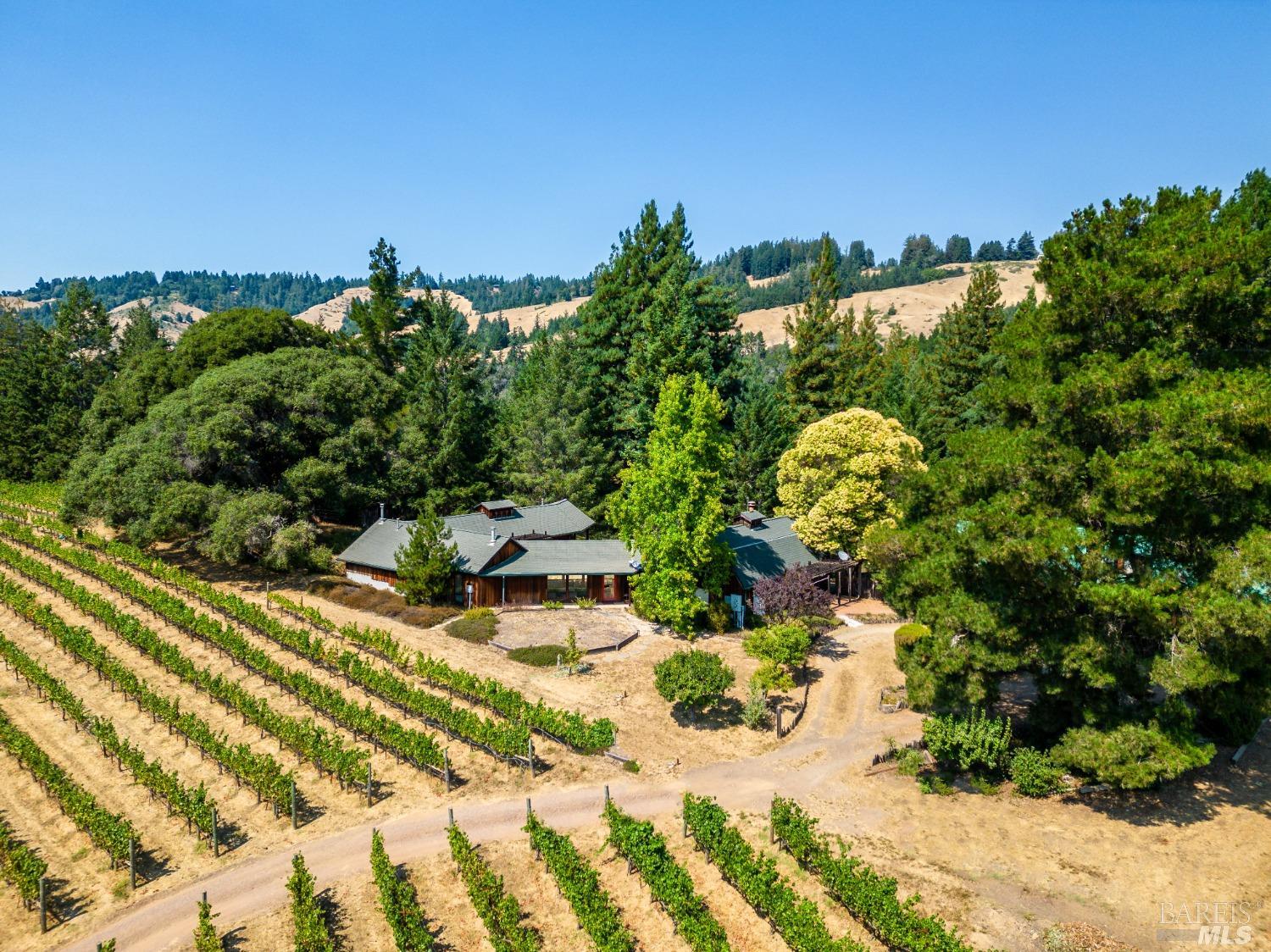 2151 Guntly Road Philo, CA 95466 - Photo 2 of 43 a view of a garden with a tree