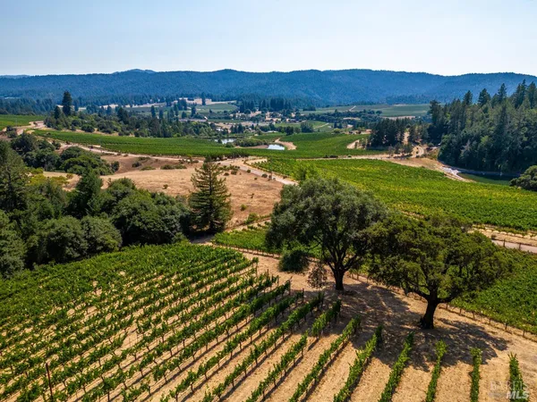 $1,220,000 | 2151 Guntly Road, Philo, CA 95466