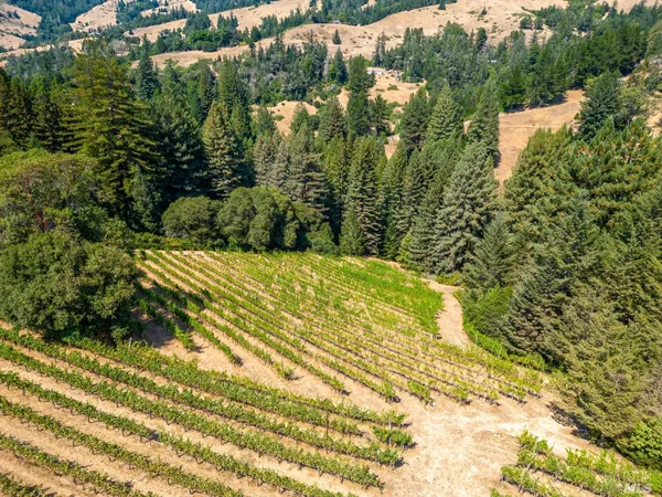 $1,220,000 | 2151 Guntly Road, Philo, CA 95466