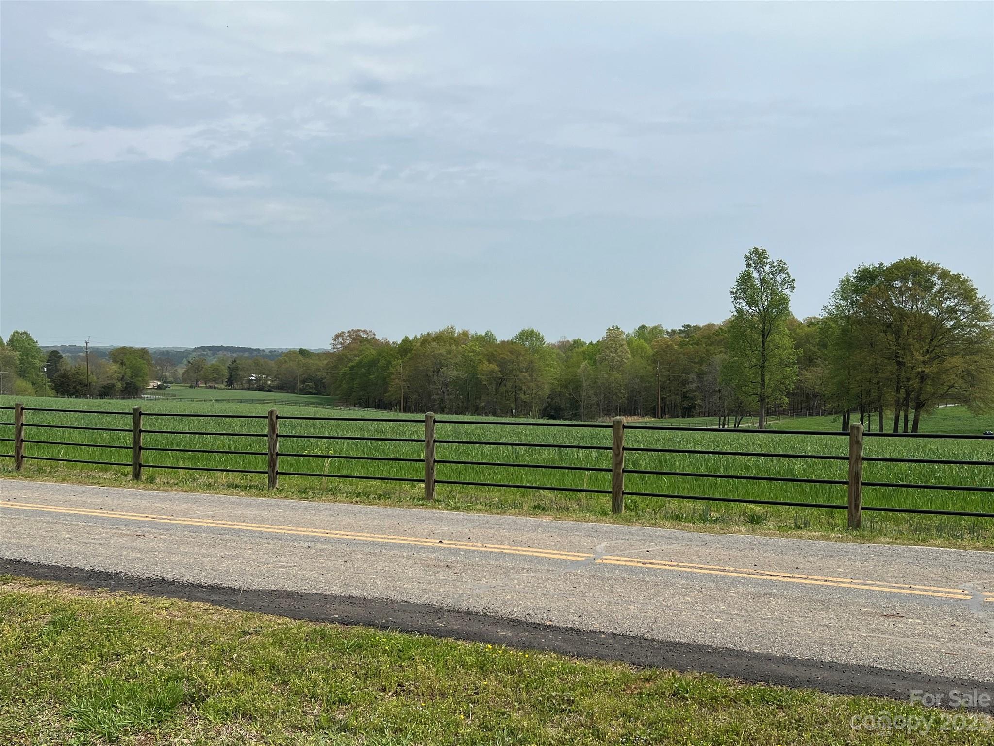 590 Hog Pen Branch Road Mooresboro, NC 28114 - Photo 29 of 36 a view of a yard with wooden fence
