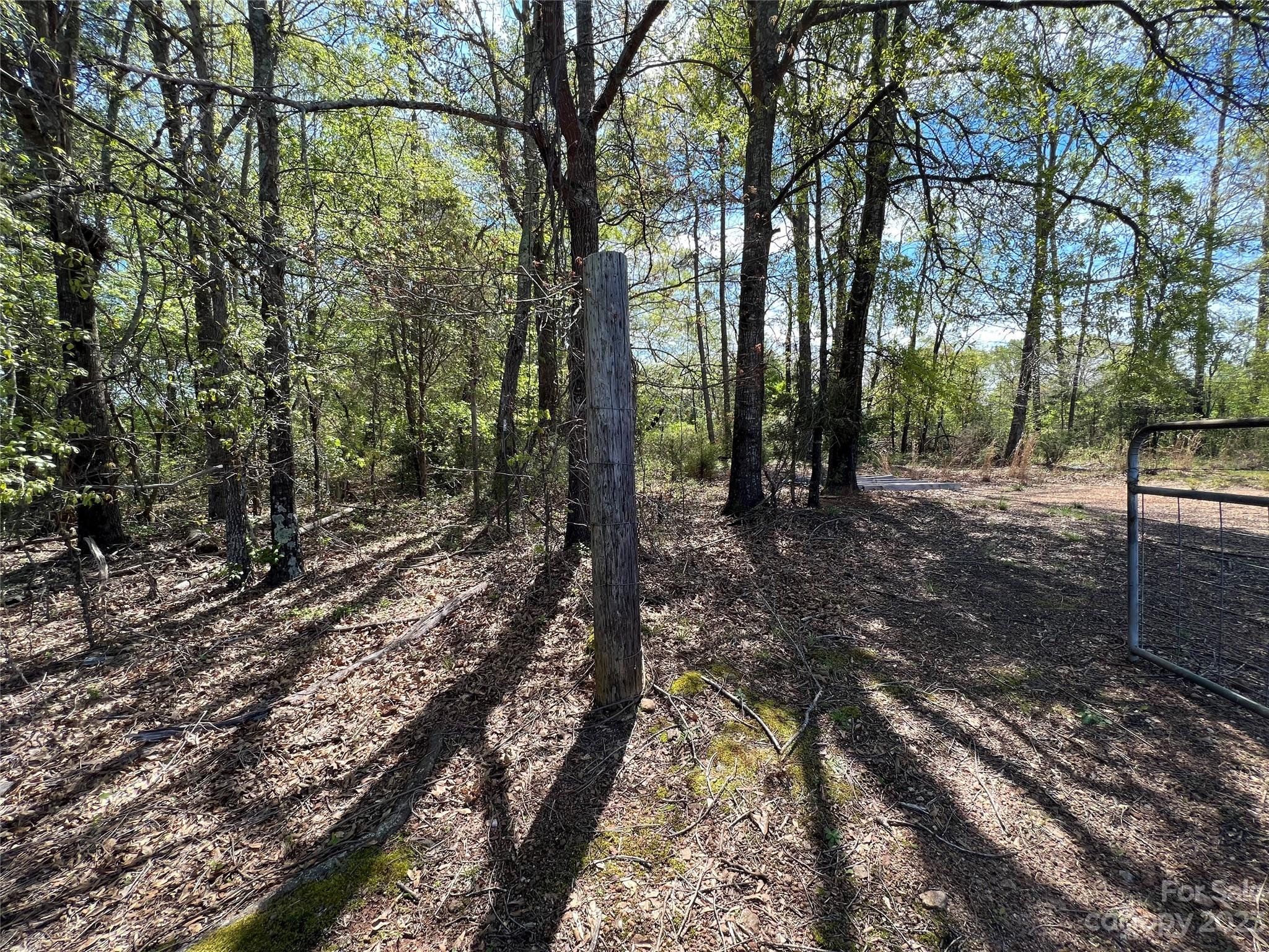 590 Hog Pen Branch Road Mooresboro, NC 28114 - Photo 33 of 36 a view of a forest filled with trees