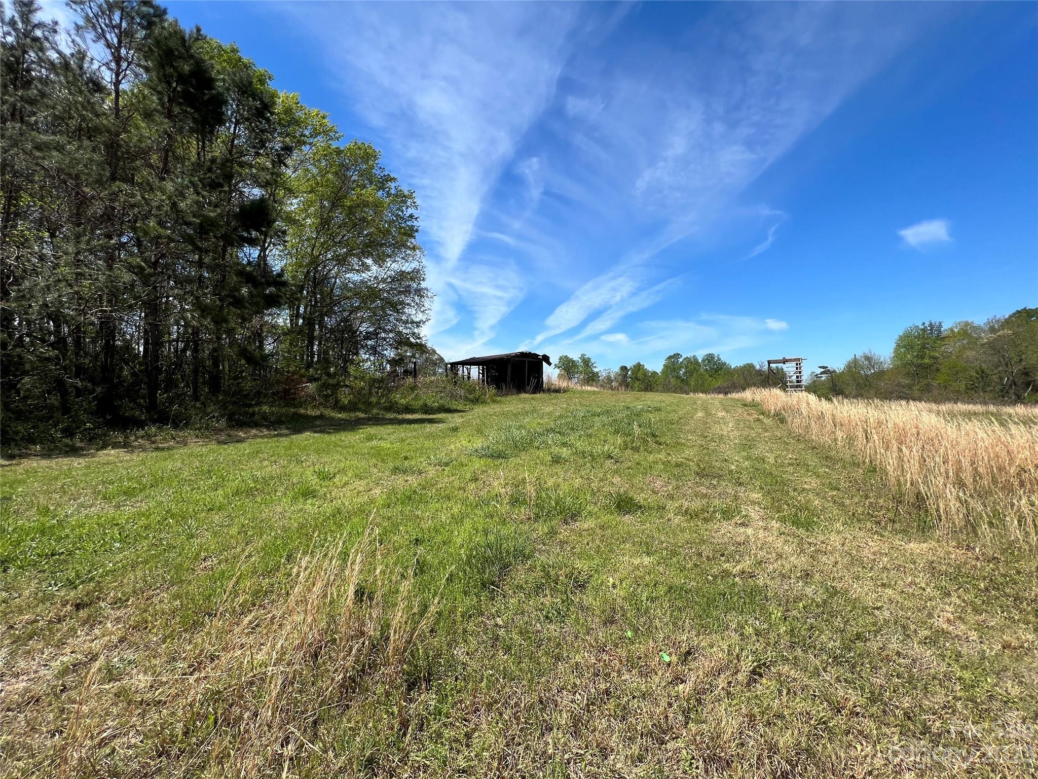 590 Hog Pen Branch Road Mooresboro, NC 28114 - Photo 36 of 36 a view of a yard with an outdoor space