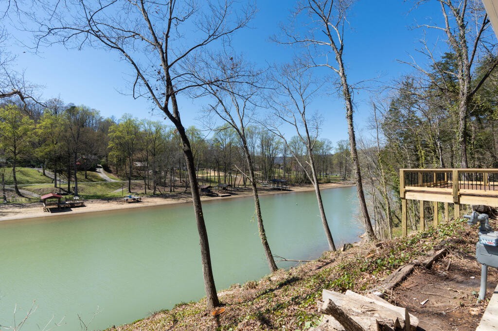 462 Bluff Road Dayton, TN 37321 - Photo 33 of 45 Gallery Image 33