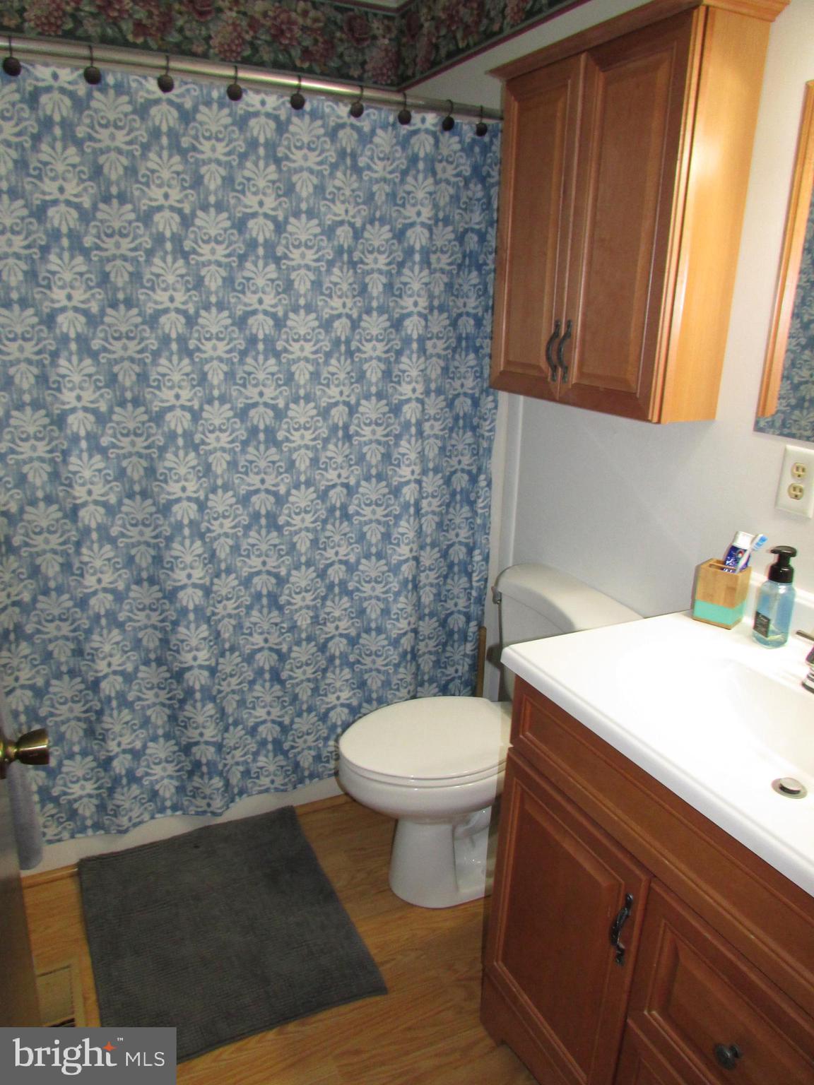 7255 Baldwin Ridge Road Warrenton, VA 20187 - Photo 24 of 45 Upper Level Full Bath