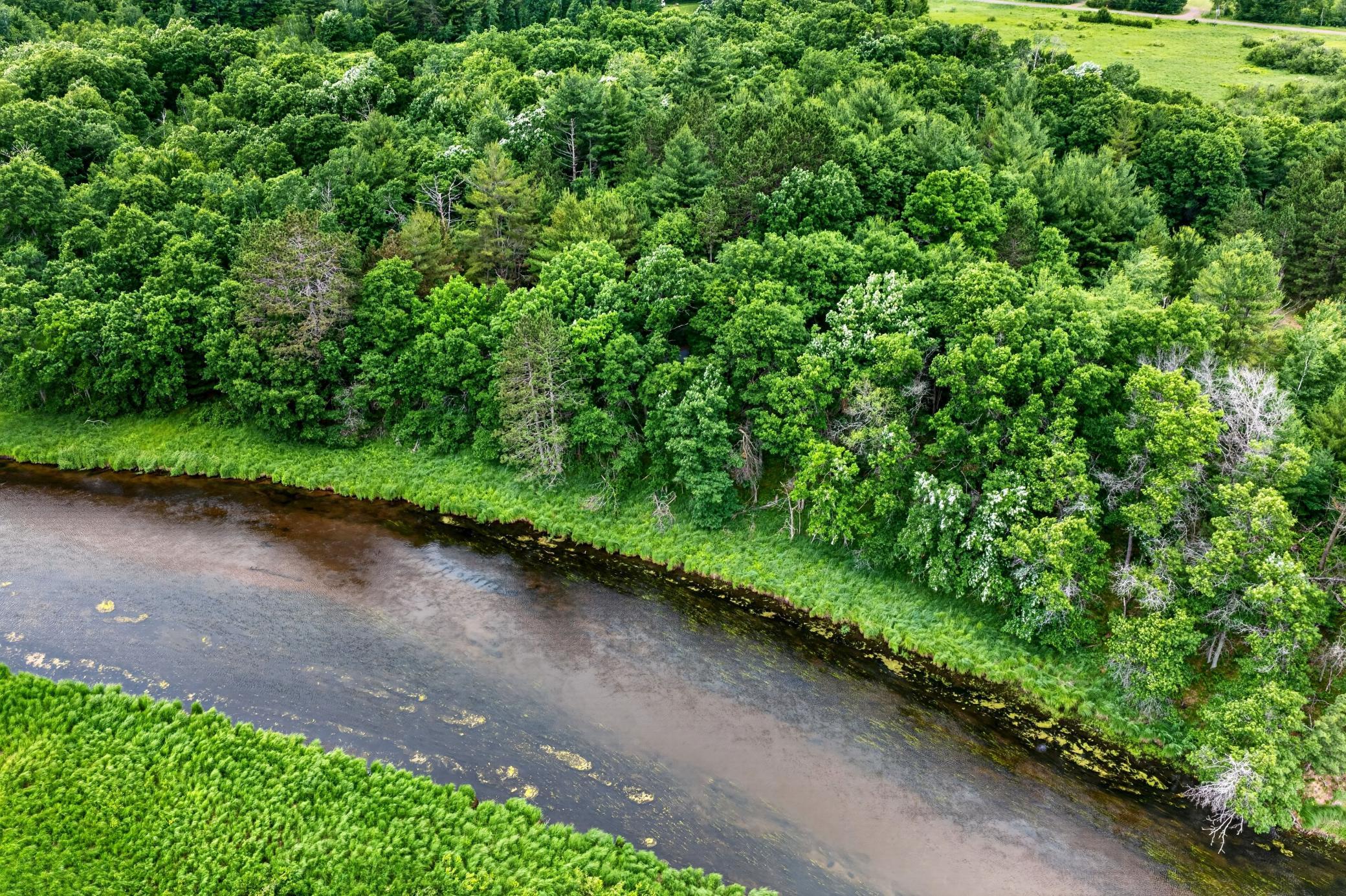 Lot 2 Gaslyn Road Webster, WI 54893 - Photo 4 of 10