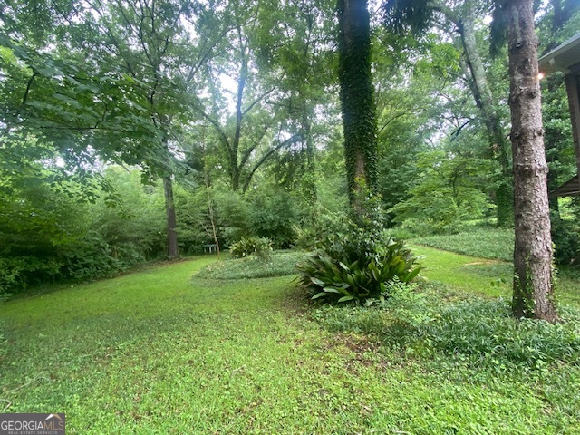 314 Neal Street West Point, GA 31833 - Photo 35 of 36