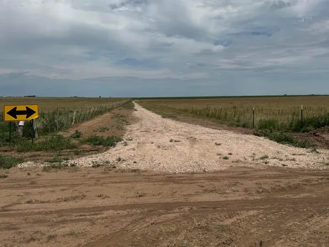 a view of beach and ocean