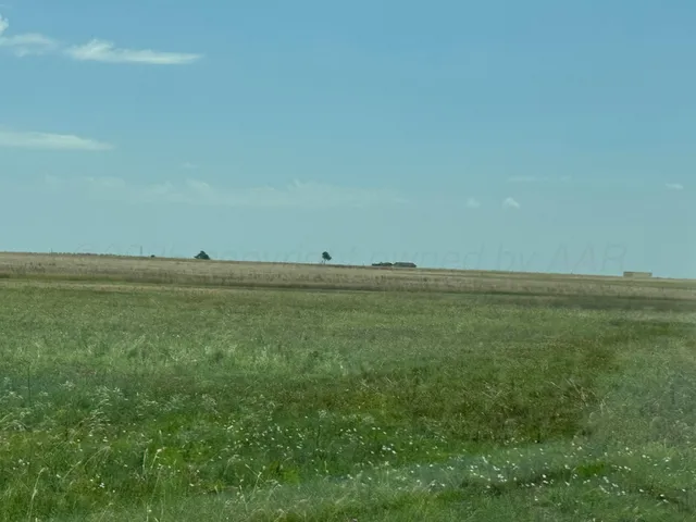 a view of a field with an ocean