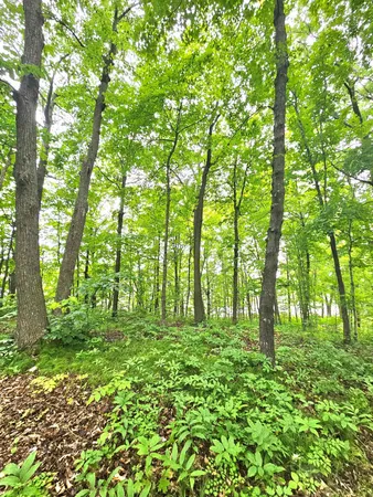 $44,000 | Tbd East Grace Street, Isle, MN 56342