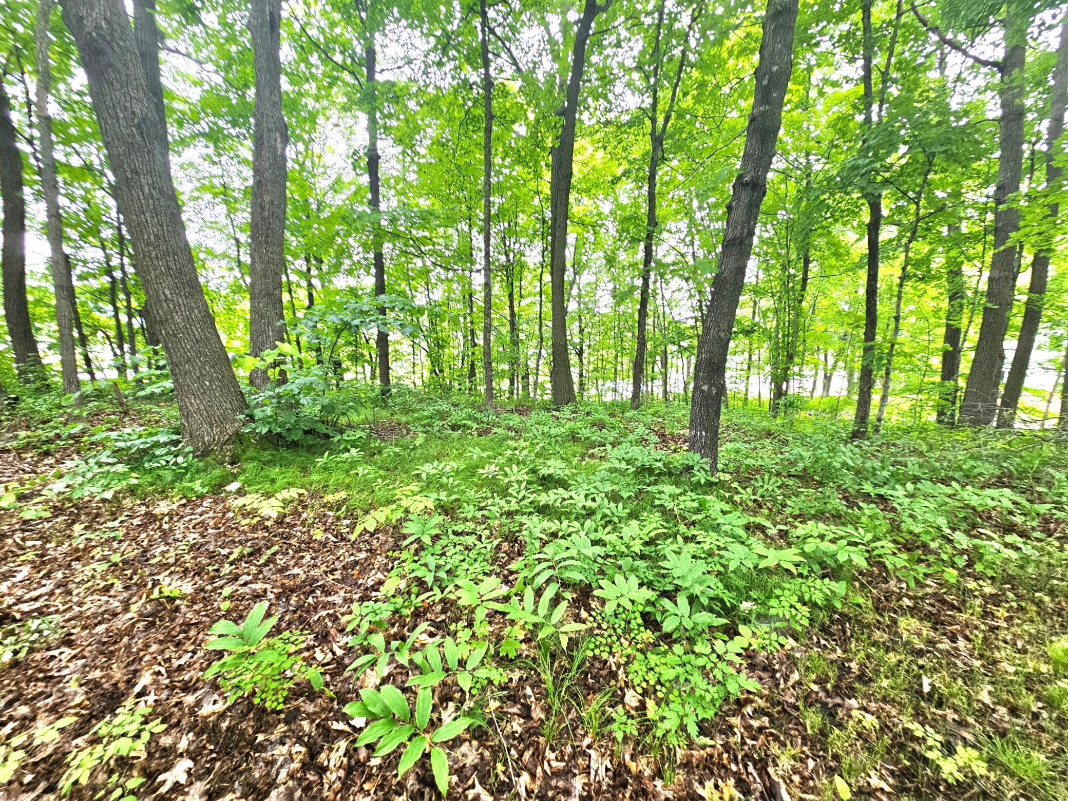 Tbd East Grace Street Isle, MN 56342 - Photo 12 of 19