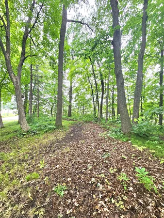 $44,000 | Tbd East Grace Street, Isle, MN 56342