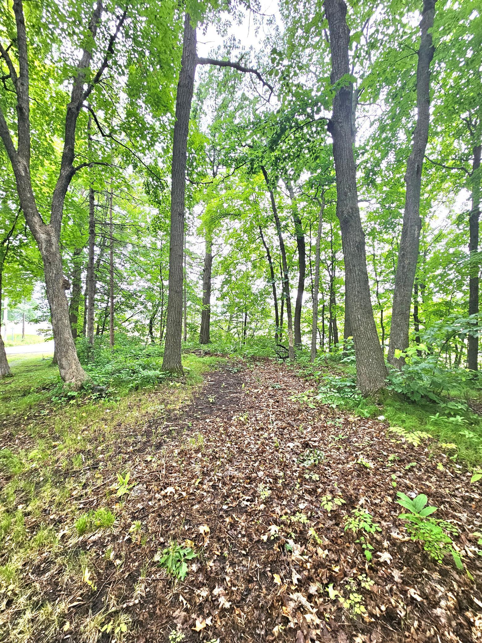 Tbd East Grace Street Isle, MN 56342 - Photo 15 of 19