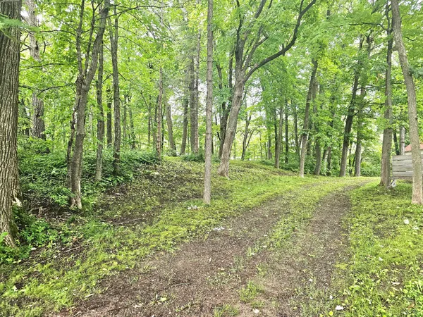 $44,000 | Tbd East Grace Street, Isle, MN 56342