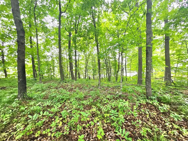 $44,000 | Tbd East Grace Street, Isle, MN 56342