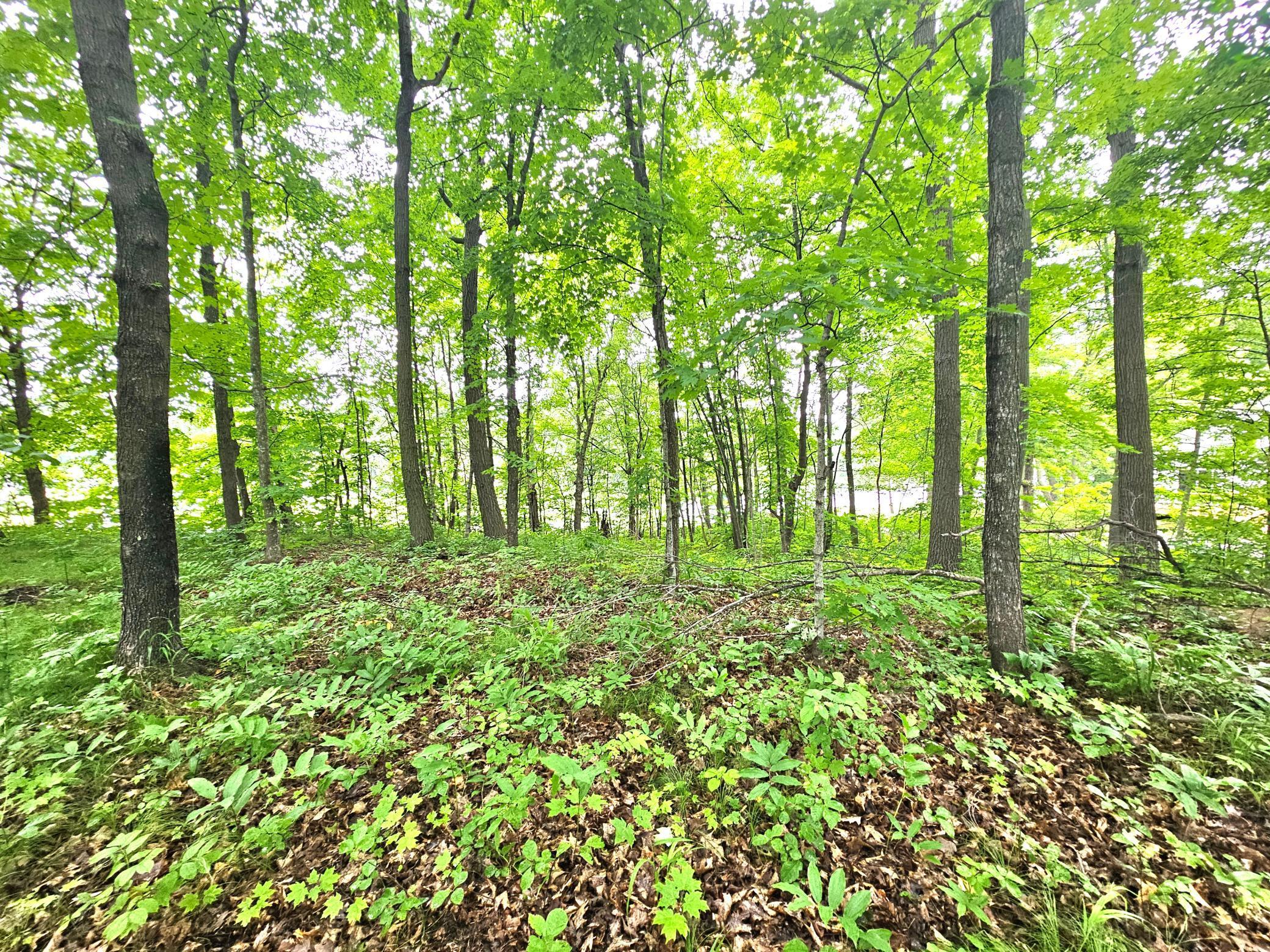 Tbd East Grace Street Isle, MN 56342 - Photo 3 of 19