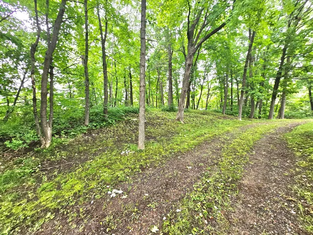 $44,000 | Tbd East Grace Street, Isle, MN 56342