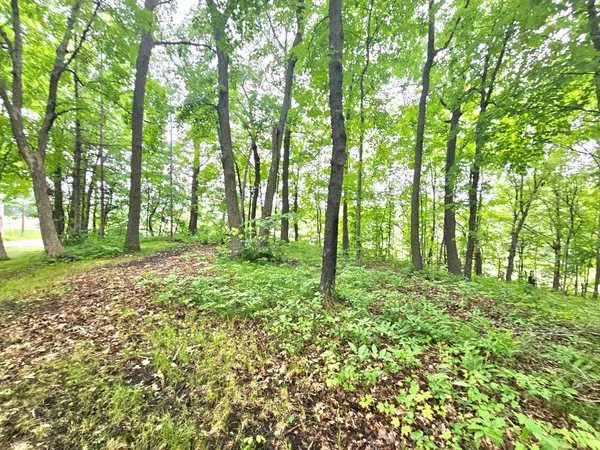 $44,000 | Tbd East Grace Street, Isle, MN 56342