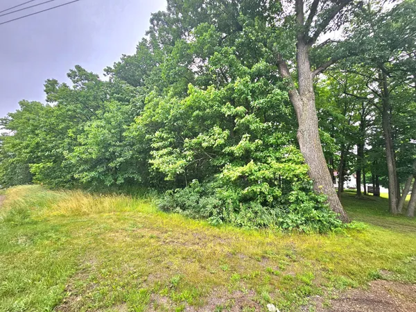 $44,000 | Tbd East Grace Street, Isle, MN 56342