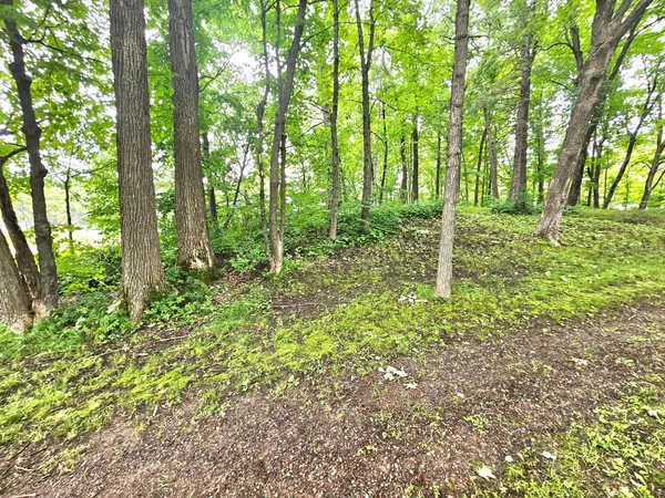 $44,000 | Tbd East Grace Street, Isle, MN 56342