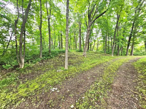 $44,000 | Tbd East Grace Street, Isle, MN 56342