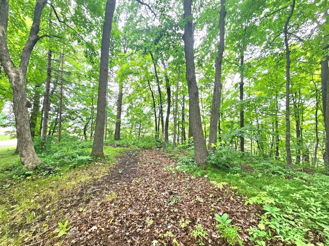 $44,000 | Tbd East Grace Street, Isle, MN 56342