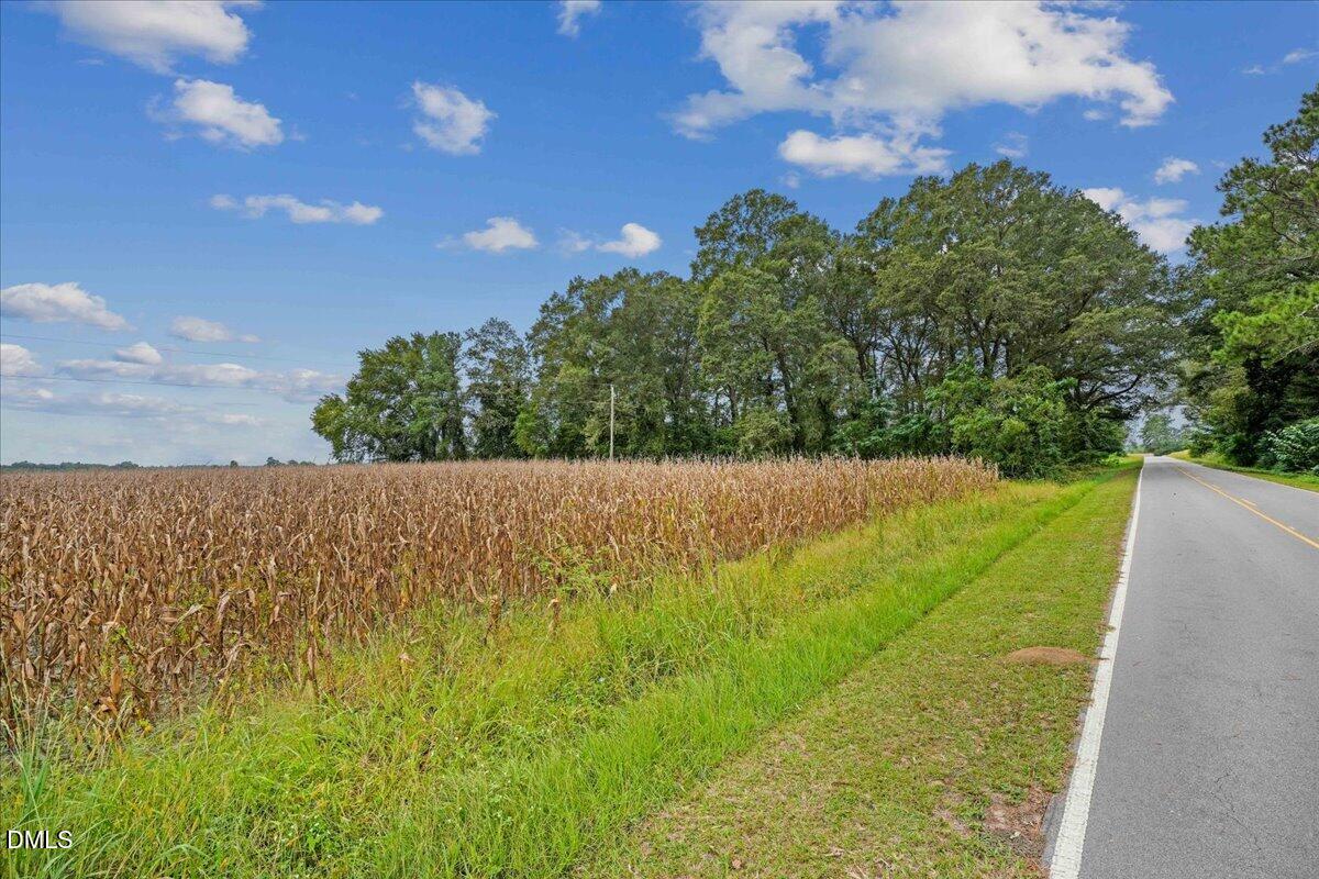 0 Holt Road Princeton, NC 27569 - Photo 8 of 10 03-Holt Rd-3