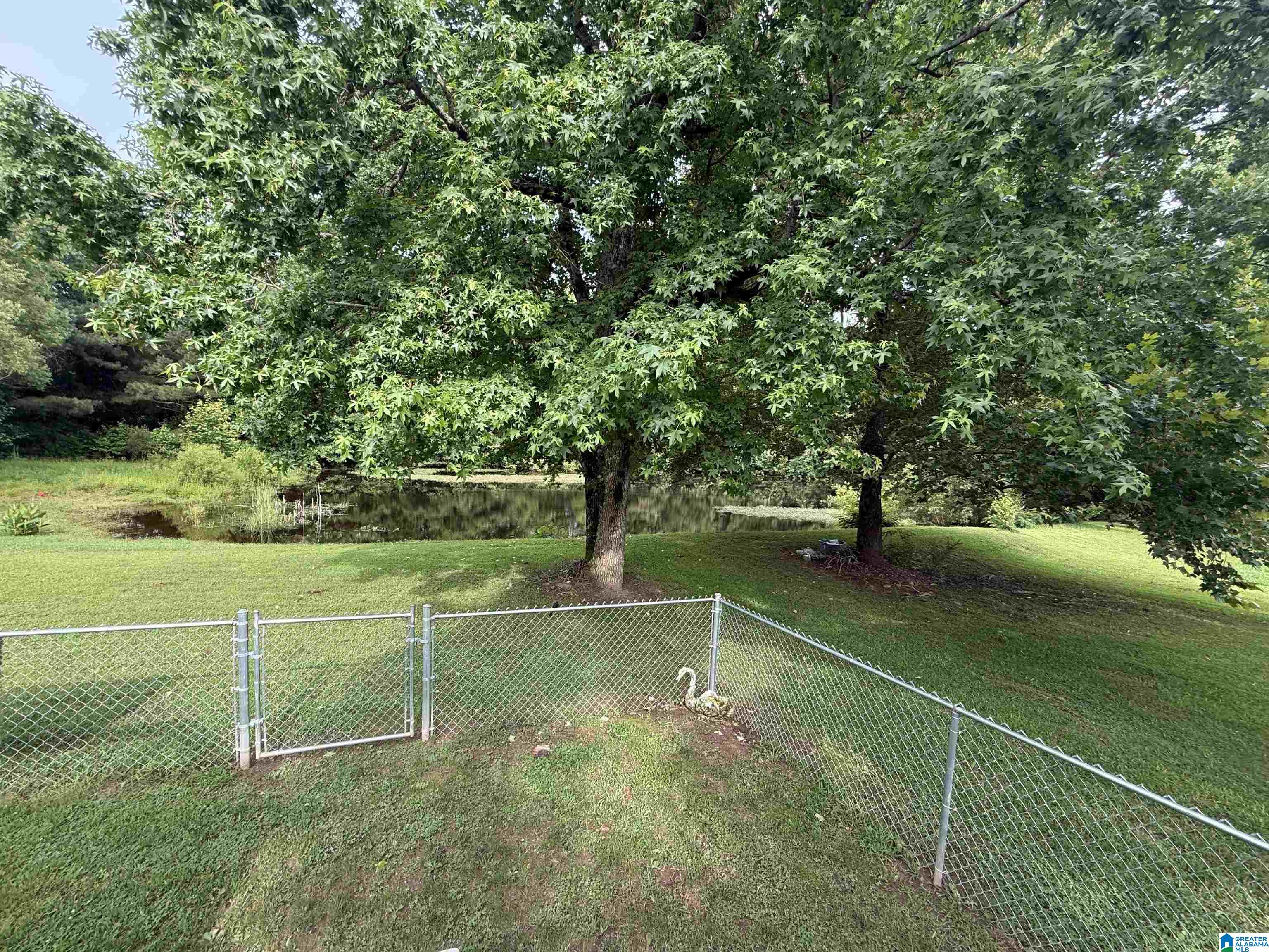 151 Friendship Road Altoona, AL 35952 - Photo 35 of 41