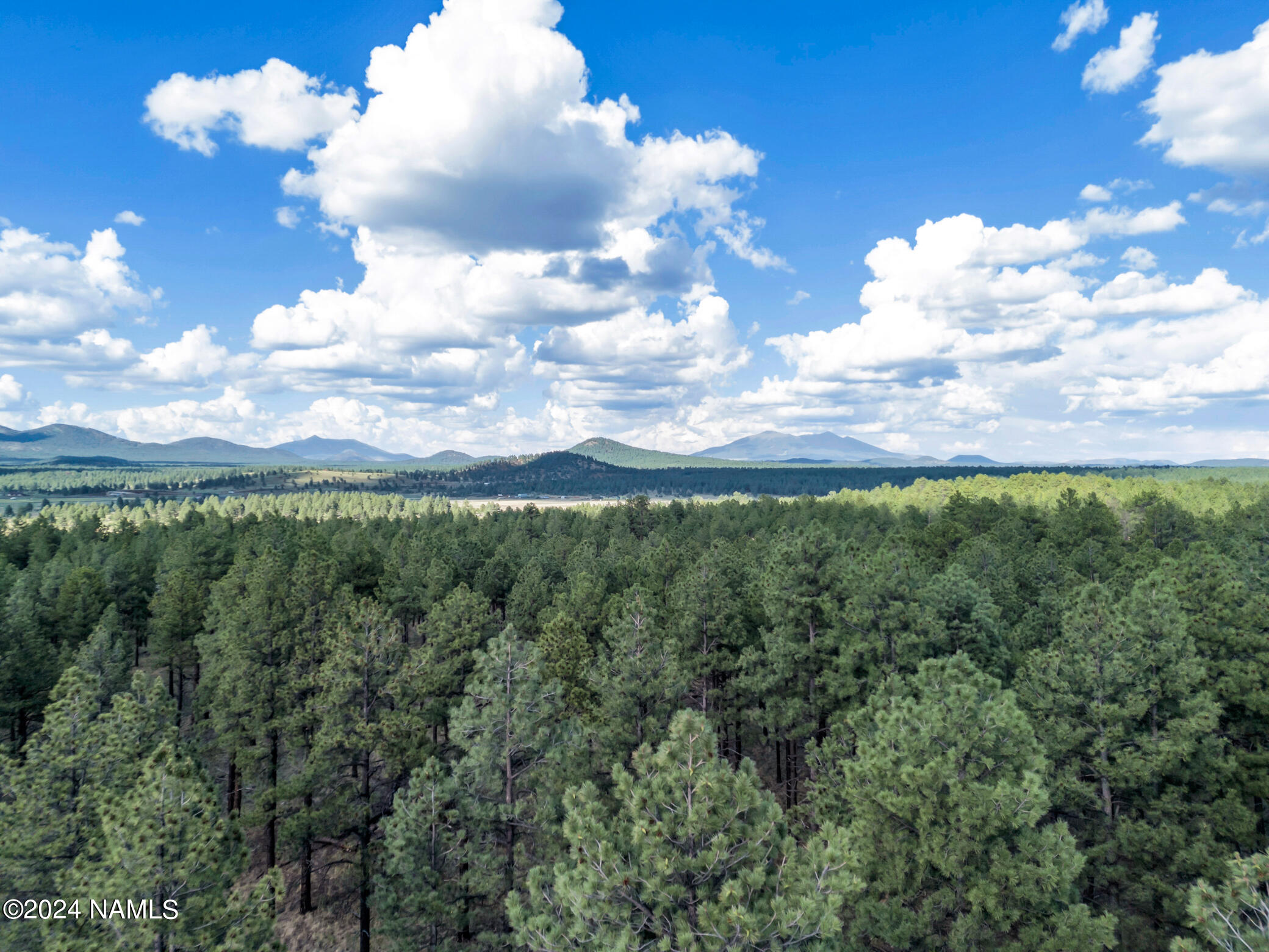 7547 East Robin Hood Road Williams, AZ 86046 - Photo 22 of 28 TimberCreekImagery-28
