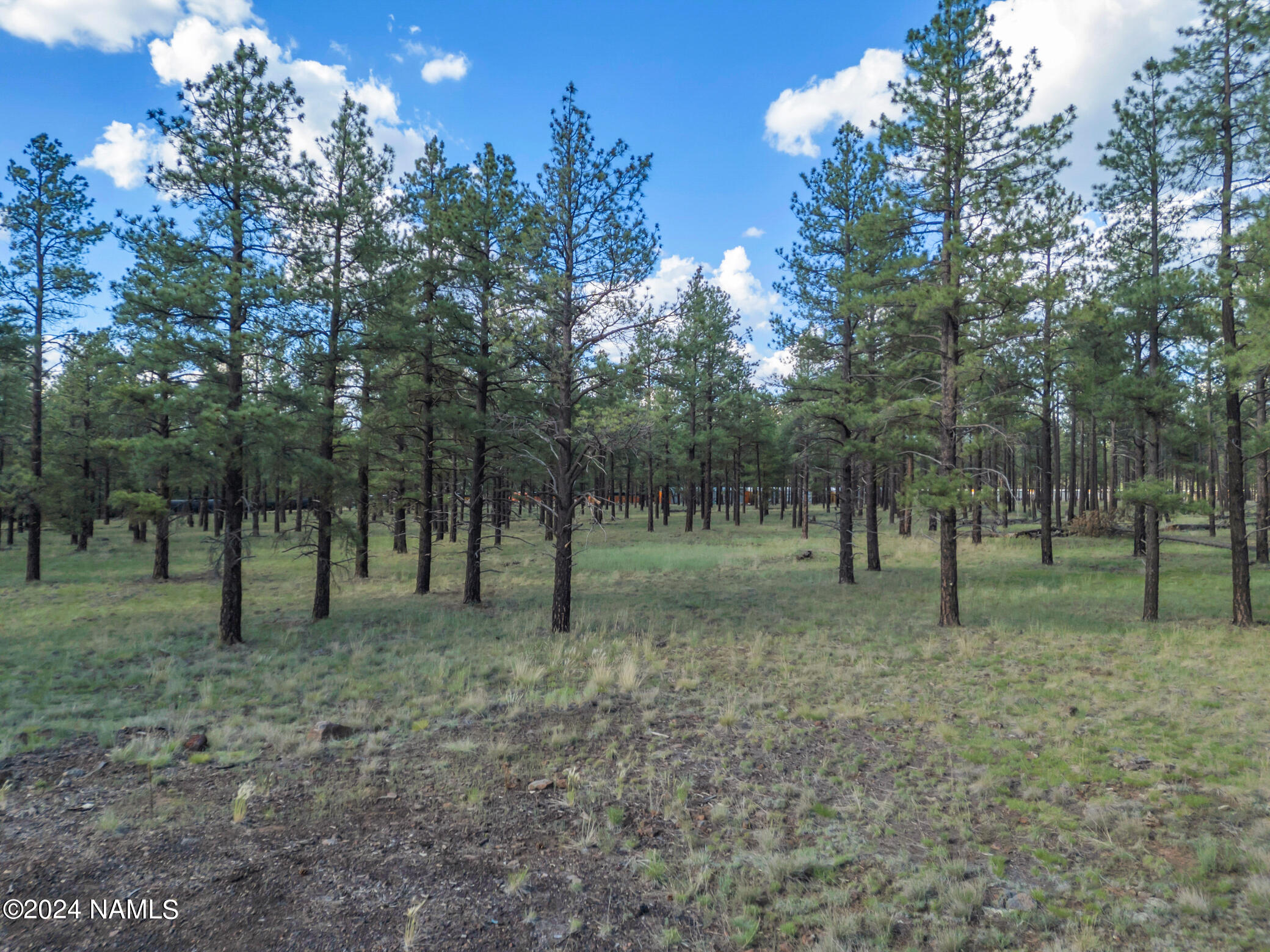 7547 East Robin Hood Road Williams, AZ 86046 - Photo 27 of 28 TimberCreekImagery-26