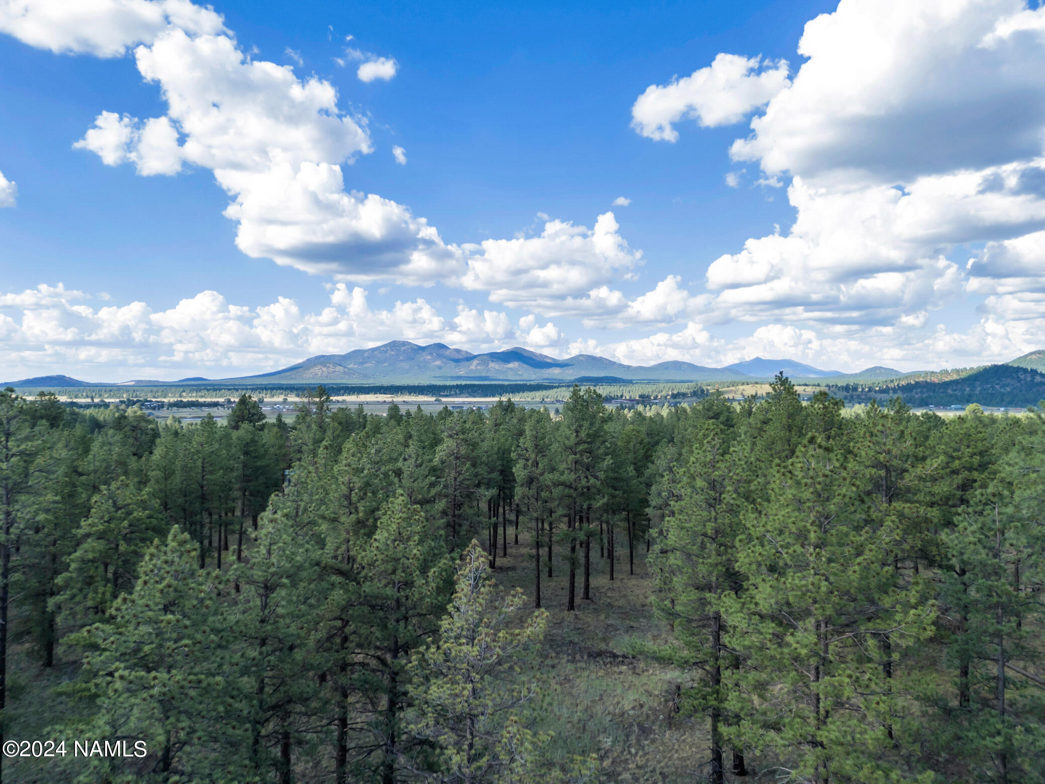 7547 East Robin Hood Road Williams, AZ 86046 - Photo 28 of 28 TimberCreekImagery-27